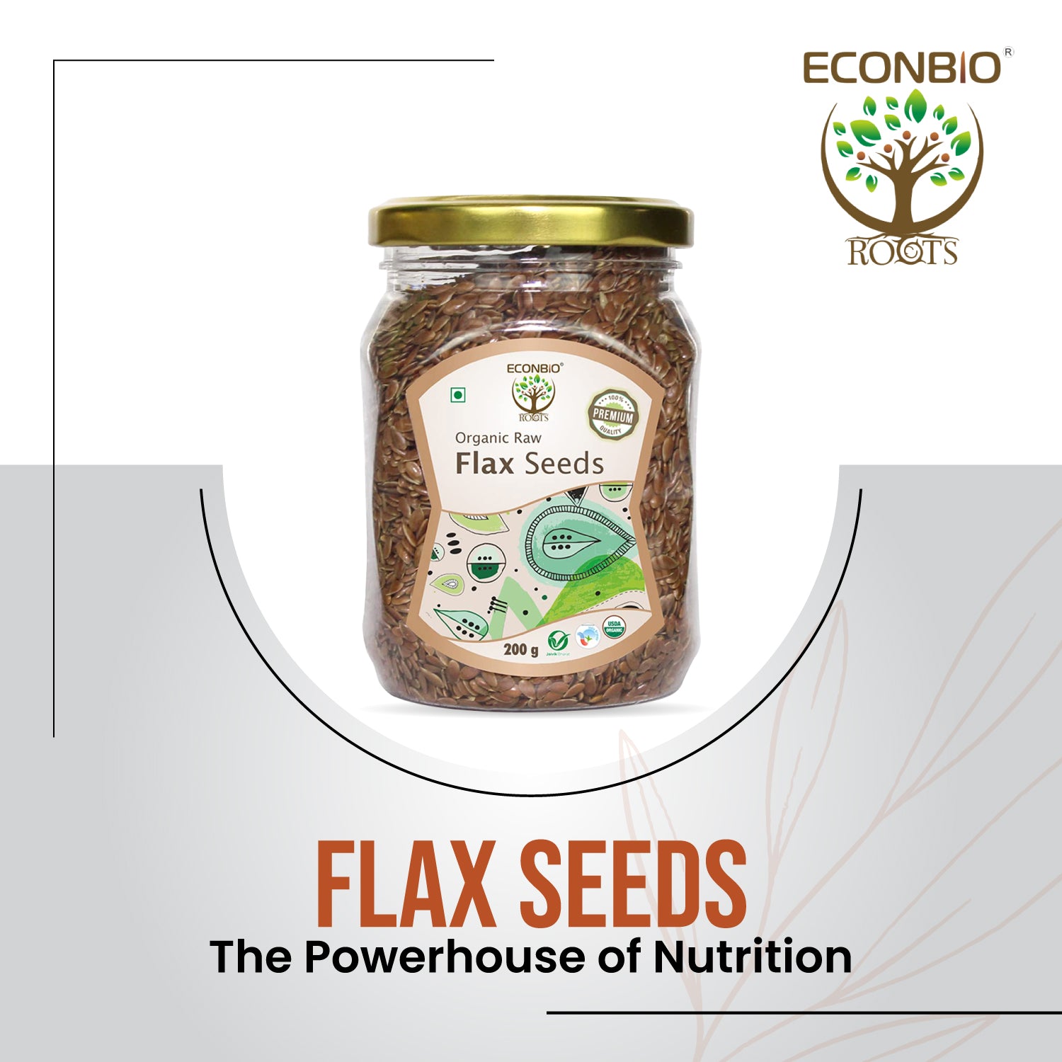 ECONBIO ROOTS Certified 100% Organic Raw Flax Seeds, 200g (Pack of 2)