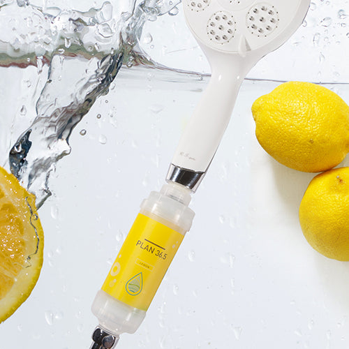 ECONBIO ROOTS Vitamin Shower Filter (Lemon Flavor)